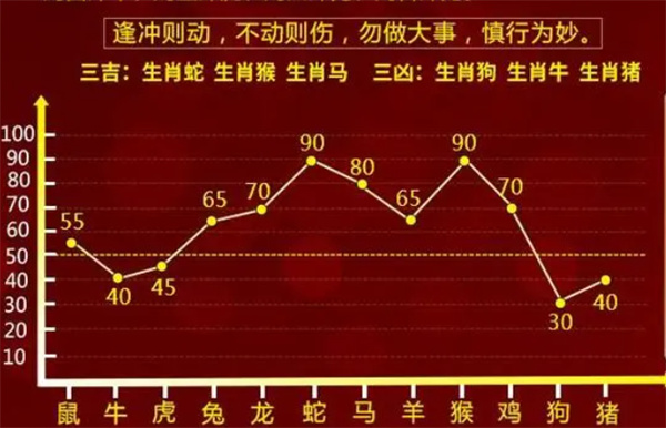 精准一肖一码100;词语释义解释落实